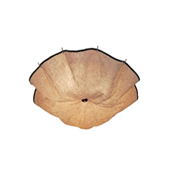 FLOS Celestia Ceiling Lamp ����ɡ����������CG-X697|�ִ��������|������|�칫�Ҿ�