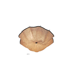 FLOS Celestia Ceiling Lamp ����ɡ����������CGX697_�칫�Ҿ�_������_�ִ��������