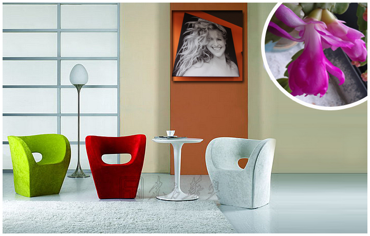 现代经典休闲椅|布面休闲椅|办公家具|小阿尔贝特椅|休闲椅,布面休闲椅,设计师椅,茶餐厅椅,酒吧椅